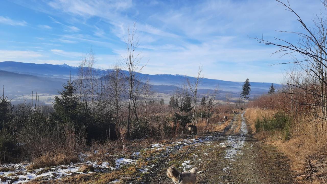 Noclegi Rozanka Radomierz Bagian luar foto
